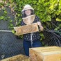Rachel Mackelprang holds up a frame of a beehive located in the Botanic Garden.