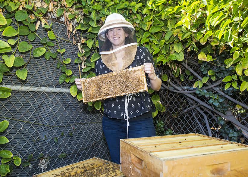Rachel Mackelprang holds up a frame of a beehive located in the Botanic Garden.