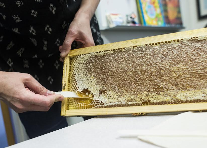 Rachel Mackelprang harvests honey from the beehives she keeps on campus.