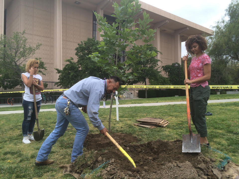 Students and Staff planting a tree on the side of the Oviatt Library